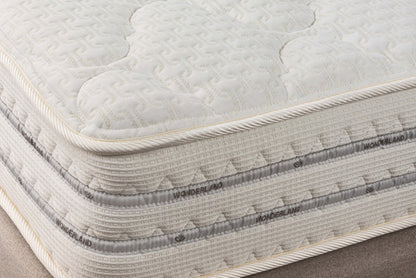 Wonderland LUXURY POCKET SPRING /Cotton25 CM