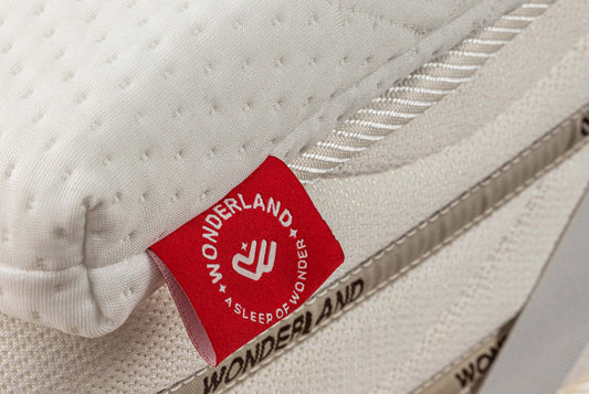 Wonderland Mattresses Topper 100