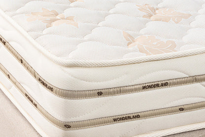Wonderland NEW MARRIOTT  (MEDICAL) 15 CM