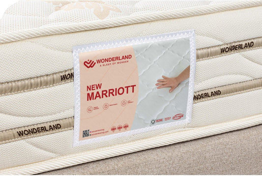 Wonderland NEW MARRIOTT  (MEDICAL) 20 CM